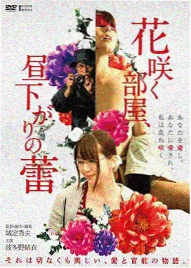 导演剪辑版封面
